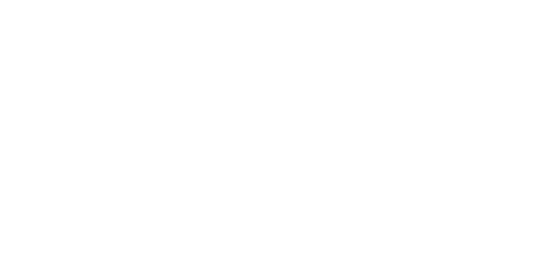 에이스 게이밍 logo